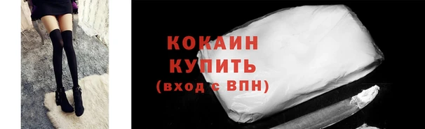 мяу мяу мука Белокуриха